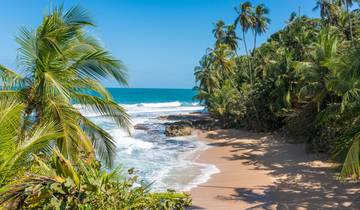 Costa Rica Roadtrip: Jungle Beats & Ocean Waves (7 Destinationen)