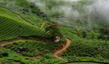 Betoverende Ontsnapping in Kerala-rondreis