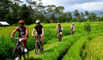 6 Tage Bali In Depth Tour (privater Reiseleiter & Fahrer）