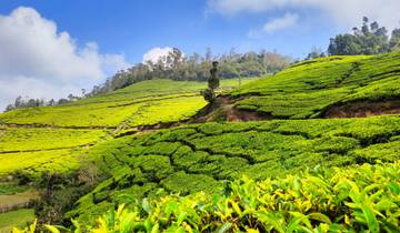 Kerala Tour Package with Taj Mahal Tour