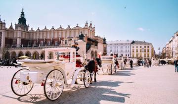 Krakau naar Wenen: Hostel Week Groepsreis