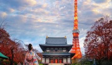 Circuit des paysages du Japon et du Mont Fuji : Mont Koya, Kyoto, Osaka, Hiroshima en 15 jours