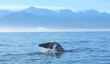 Pure New Zealand: North & South Islands