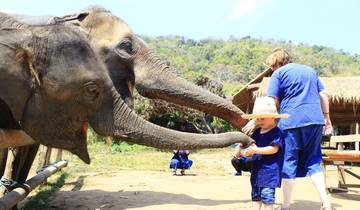 Escapade nature en Thaïlande : 10 jours d'aventure authentique à Bangkok, Chiang Mai et Chiang Rai