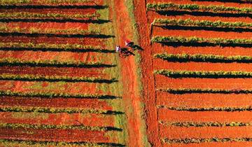 10 Days Alps to Adriatic Cycling, incl. Lake Bled and Piran