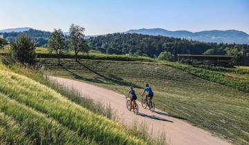 Alps to Adriatic Cycling - from Lake Bled to Poreč via Parenzana