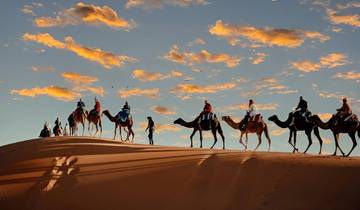 Voyage privé au Maroc : 14 jours de villes impériales, de désert et de côte circuit