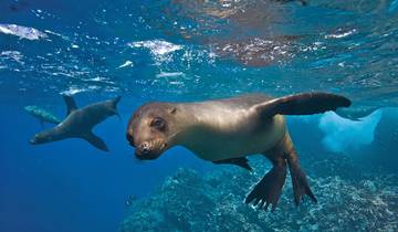 5 jours d'aventure en famille aux îles Galápagos (Santa Cruz et San Cristobal)