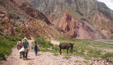 Wonders of Northern Argentina: 5-Days in Salta and Humahuaca Gorges