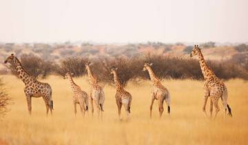 14 Day Namibia Itinerary, incl. Windhoek and Etosha National Park
