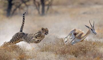 14 Day Namibia Itinerary, incl. Windhoek and Etosha National Park
