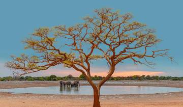 14 Day Namibia Itinerary, incl. Windhoek and Etosha National Park