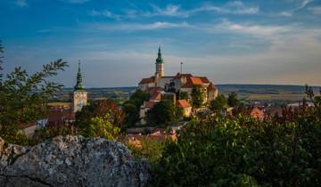7 Days in Czechia Wine Tour, incl. Prague and South Moravia