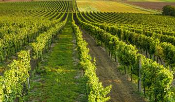 7 Days in Czechia Wine Tour, incl. Prague and South Moravia