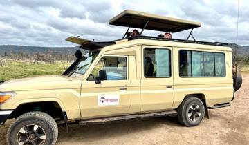Escapade de 6 jours dans la nature : Tsavo West, Amboseli, lac Nakuru et Masai Mara circuit