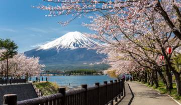 Japan Adventure: From Mountain Trails to Village Tales