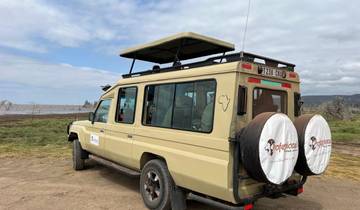 Expédition de 6 jours : Maasai Mara, lac Nakuru et Amboseli circuit
