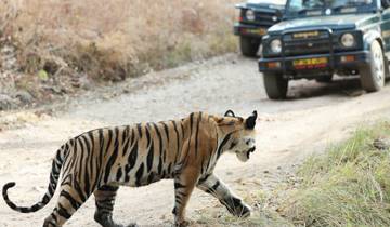 Khajuraho Tour with Panna Tiger Safari and Raneh Falls