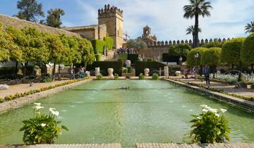 Desde la Costa del Sol 5 Días Andalucía y Madrid