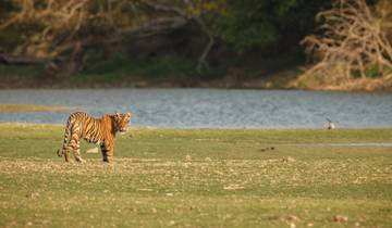 Kathmandu Chitwan Tour Rundreise