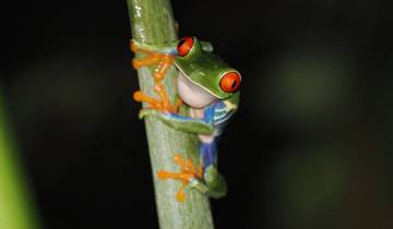 Highlights of Costa Rica compact Tour