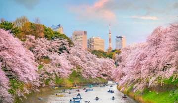 Recorrido por los Paisajes de Japón desde Tokio en 13 días