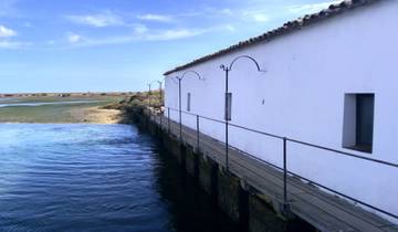 Birdwatcher's Paradise, 8 days W/ Car in Tavira