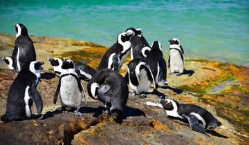 The Perfect Blend of Luxury, Adventure, and Relaxation in Southern Africa 13 Days/12 Nights