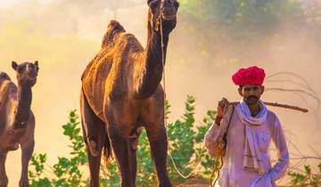 Kerala Backwaters Desert & Camel Safari Experience With Taj Mahal Visit At Sunrise – 12 Days -Luxury 4 Star Hotels