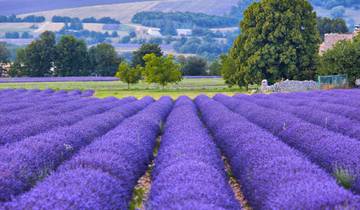 Luberon Valley Vistas Tour