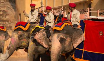 Tagesausflug in die pinke Stadt Jaipur Rundreise