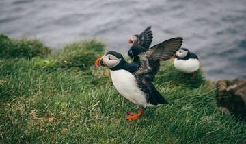 Six jours en Islande