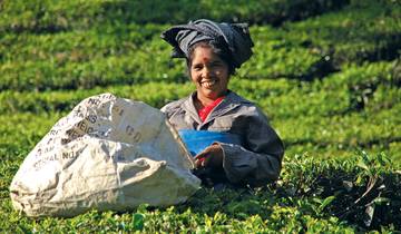 Southern India (10 destinations)