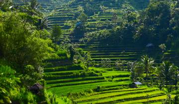 De Yakarta a Ubud (16 destinations)