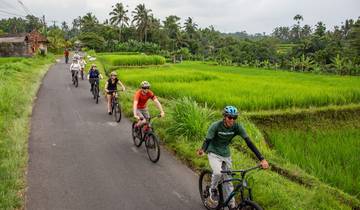 Beeldschoon Bali-rondreis