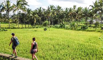 Discover Lombok (5 destinations)