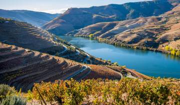 Découverte privée de Porto et de la vallée du Douro