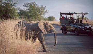 Merveilles de la nature : 9 jours de safari et de bonheur côtier en Afrique du Sud circuit