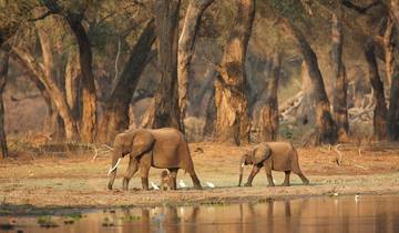 8 jours d\'aventure dans la nature sauvage du Kenya : Découvrez la beauté sauvage de la nature ! circuit
