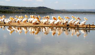 Wild Wonders of Kenya: A 9-Day Adventure Tour