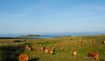 Costa Vicentina: Natural Park self-guided hike tour