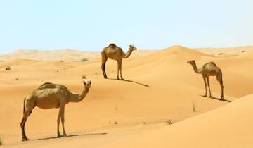 5 Day Turkmenistan Itinerary, incl. Dashoguz and Ashgabat