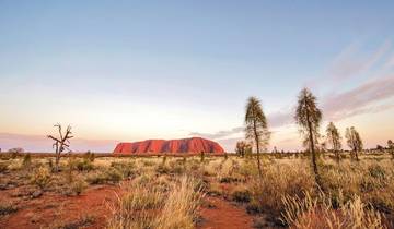 Red Center Cultural Experience Tour