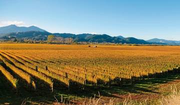 New Zealand Tour