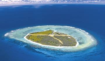 Queensland exclusive: Reef & Rainforest Tour