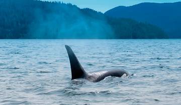 Westkanada mit Kinderaugen (Vancouver - Calgary)