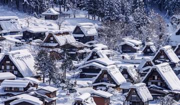 Japón Dorado de 6 Días（Circuito Familiar Privado）Umetravel