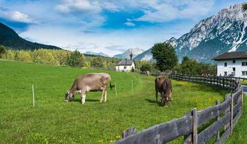 Dwars door de Alpen van München naar Merano met CHARME-rondreis