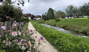 Sentier SalzAlpenSteig I avec transfert des bagages 5 jours d\'escapade circuit