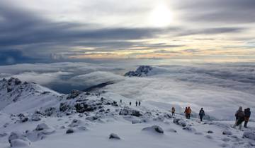 6-daagse Lemosho Route Kilimanjaro trekking-rondreis